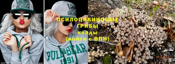 индика Верхнеуральск