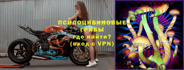 индика Верхнеуральск