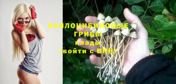индика Верхнеуральск